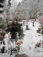Der Garten im Winter - Bild 06