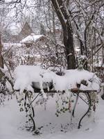 Der Garten im Winter - Bild 09