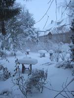 Der Garten im Winter - Bild 17